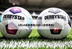 6月14日世界杯(6月13日世界杯)
