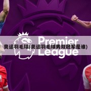 奥运羽毛球(奥运羽毛球男双冠军是谁)