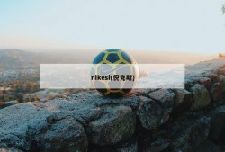 nikesi(倪克斯)