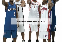 乔丹-汉密尔顿(乔丹汉密尔顿 2K14)