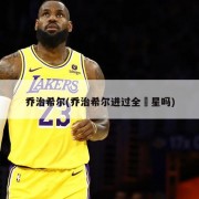 乔治希尔(乔治希尔进过全眀星吗)