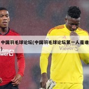中国羽毛球论坛(中国羽毛球论坛第一人是谁)