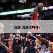 戈登(戈登拉姆齐)