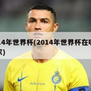 2014年世界杯(2014年世界杯在哪个国家)