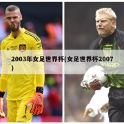 2003年女足世界杯(女足世界杯2007)