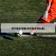 切尔西足球服(切尔西足球队服)