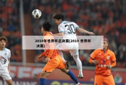 2010年世界杯总决赛(2010 世界杯 决赛)