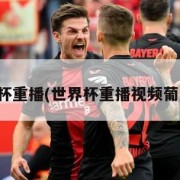 世界杯重播(世界杯重播视频葡萄牙)
