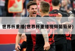 世界杯重播(世界杯重播视频葡萄牙)