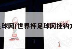 世界杯足球网(世界杯足球网挂钩方法图片)