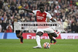 世界杯2022直播cctv(世界杯直播赛程)