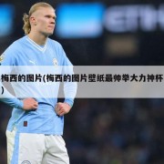 梅西的图片(梅西的图片壁纸最帅举大力神杯)