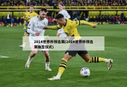 2014世界杯预选赛(2014世界杯预选赛抽签仪式)