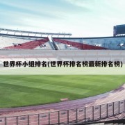 世界杯小组排名(世界杯排名榜最新排名榜)