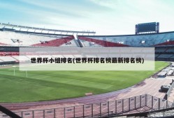 世界杯小组排名(世界杯排名榜最新排名榜)