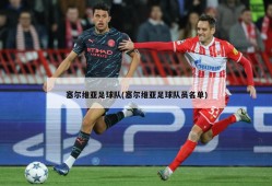 塞尔维亚足球队(塞尔维亚足球队员名单)