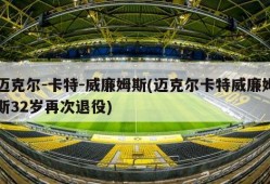 迈克尔-卡特-威廉姆斯(迈克尔卡特威廉姆斯32岁再次退役)