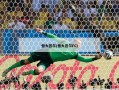 恒大首尔(恒大首尔FC)