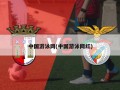 中国游泳网(中国游泳网红)