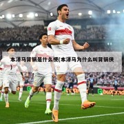 本泽马背锅是什么梗(本泽马为什么叫背锅侠)