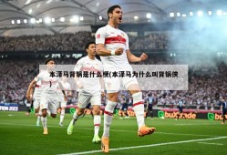本泽马背锅是什么梗(本泽马为什么叫背锅侠)