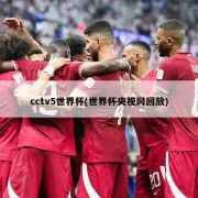 cctv5世界杯(世界杯央视网回放)
