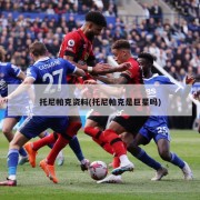 托尼帕克资料(托尼帕克是巨星吗)