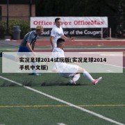 实况足球2014试玩版(实况足球2014手机中文版)