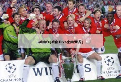 城南fc(城南fcvs全南天龙)