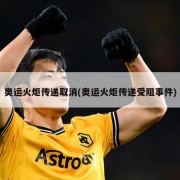 奥运火炬传递取消(奥运火炬传递受阻事件)