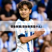 德鲁联赛(德鲁联赛是什么)