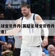英超足球宝贝乔丹(英超足球宝贝乔丹完整版在线观看)