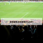 皮特鲁斯(皮特鲁斯什么水平)