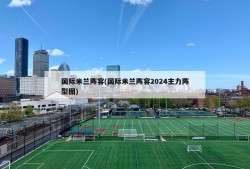 国际米兰阵容(国际米兰阵容2024主力阵型图)