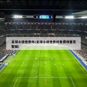足球小将世界杯(足球小将世界杯免费观看完整版)