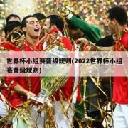 世界杯小组赛晋级规则(2022世界杯小组赛晋级规则)