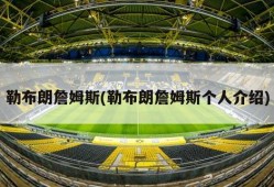勒布朗詹姆斯(勒布朗詹姆斯个人介绍)