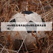 nba球队名单大全(nba球队名单大全英文)