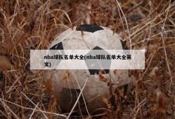 nba球队名单大全(nba球队名单大全英文)