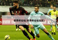 世界杯论坛(世界杯论坛社区)