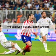 小牛vs湖人(小牛vs湖人最经典三个进球)