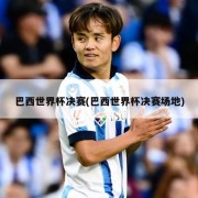 巴西世界杯决赛(巴西世界杯决赛场地)