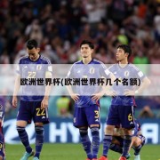 欧洲世界杯(欧洲世界杯几个名额)