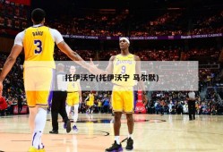 托伊沃宁(托伊沃宁 马尔默)
