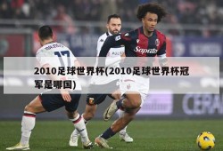 2010足球世界杯(2010足球世界杯冠军是哪国)