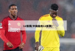 12强赛(中国越南12强赛)