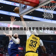 冬残奥会金牌榜排名(冬季残奥会中国金牌)