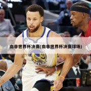 南非世界杯决赛(南非世界杯决赛球场)