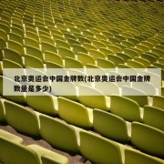 北京奥运会中国金牌数(北京奥运会中国金牌数量是多少)