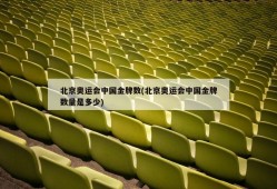北京奥运会中国金牌数(北京奥运会中国金牌数量是多少)